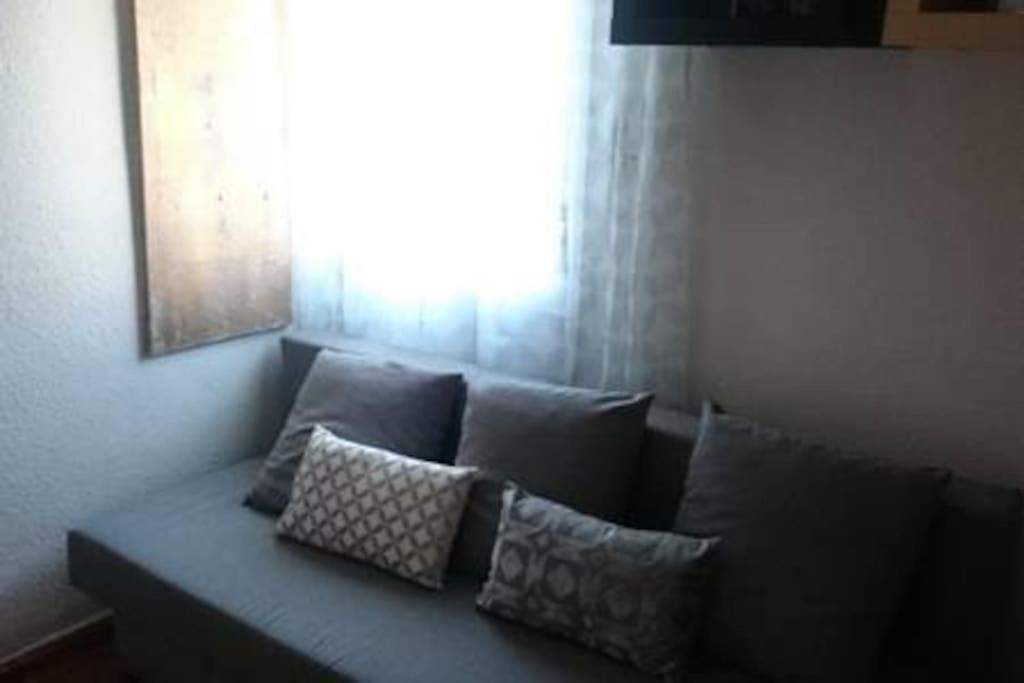 Comfortable & Apartment