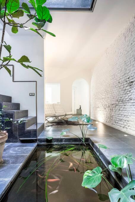 Apartment Precioso Duplex Con Piscina, Centro Matahacas 2d Seville