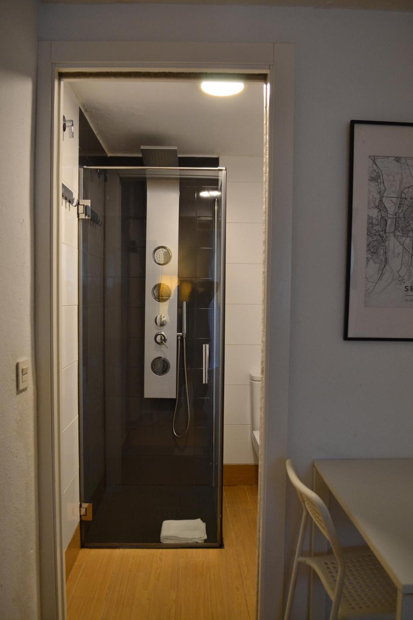 Apartment Estudio Setas I Seville