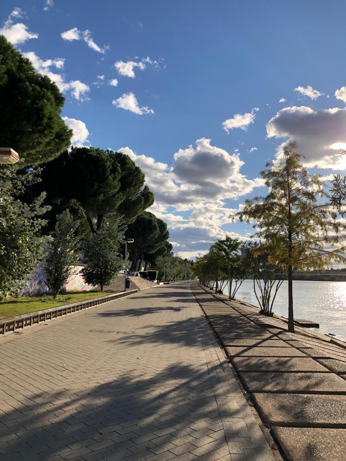 Tu Oasis De Lujo Junto Al Guadalquivir Apartamento Sevilla