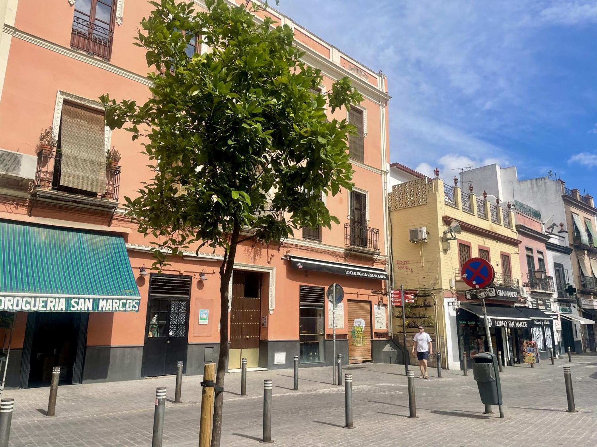 Apartment Eva Recommends Plaza De San Marcos Seville