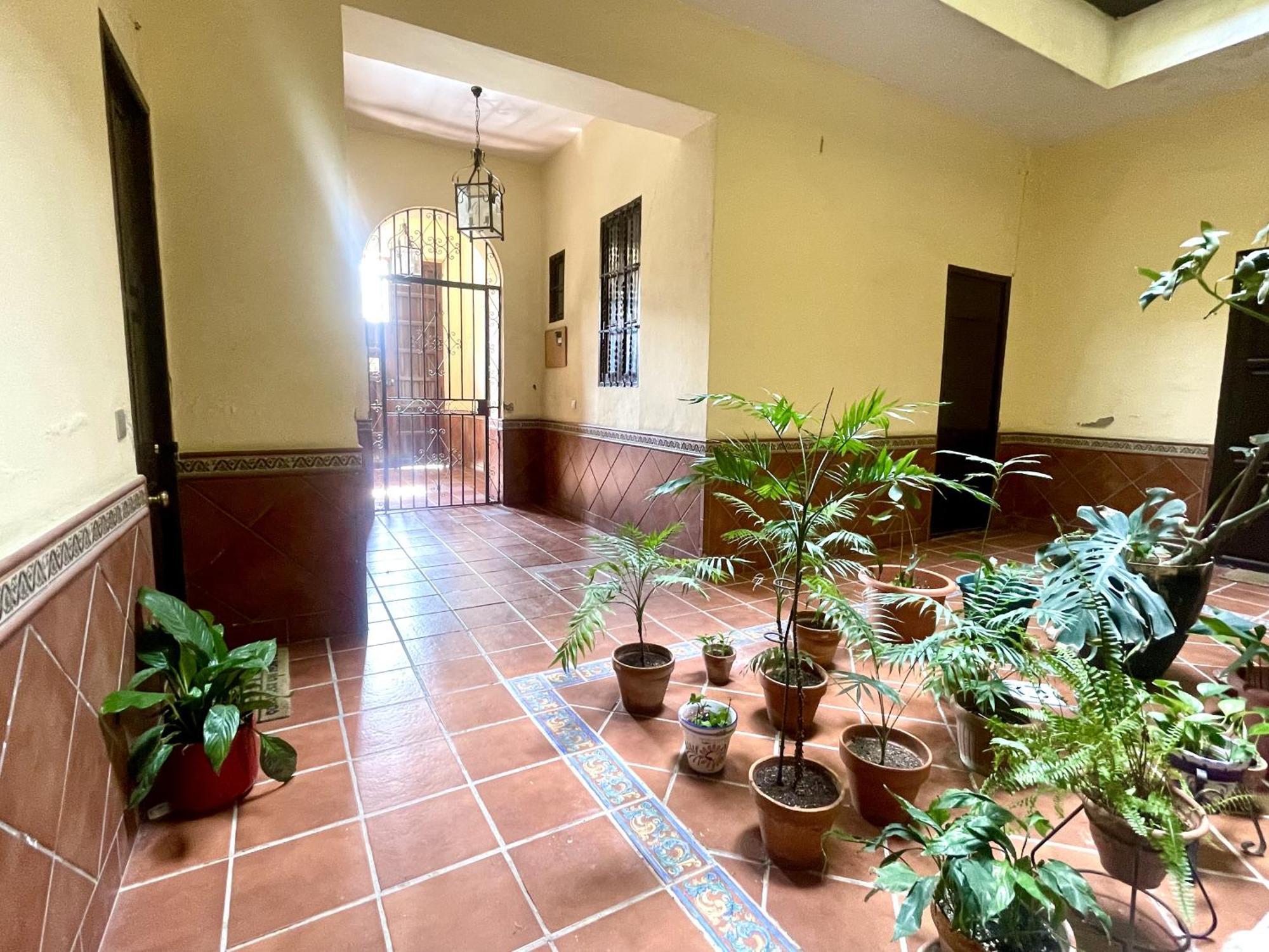 Apartment Eva Recommends Plaza De San Marcos