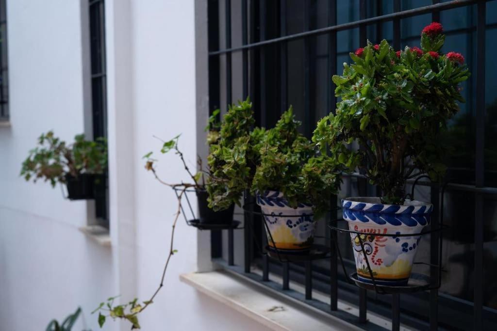 Acogedor En Triana - Wifi Apartment Seville