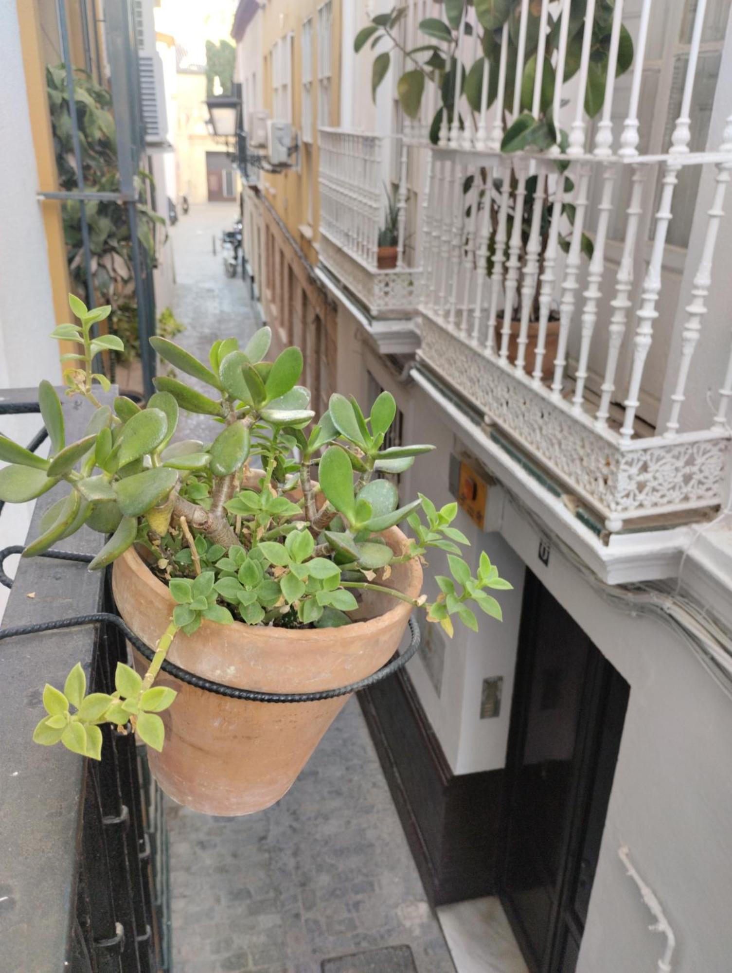 Lanza En El Corazon De Apartment Seville