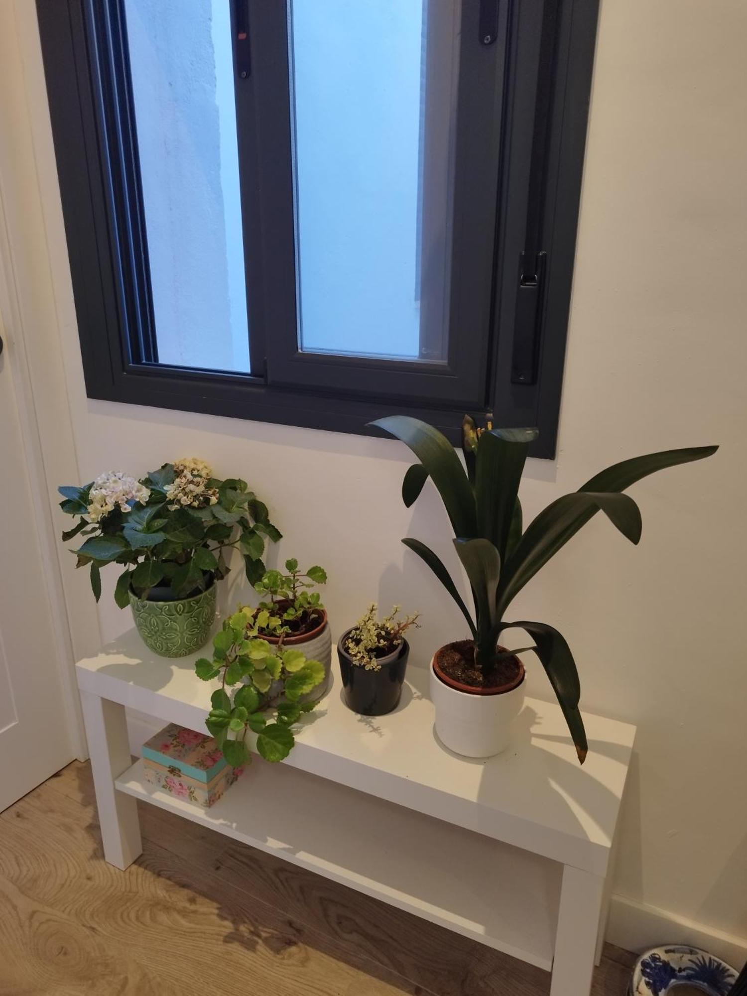 Apartment Calle Pureza Nº59 Seville