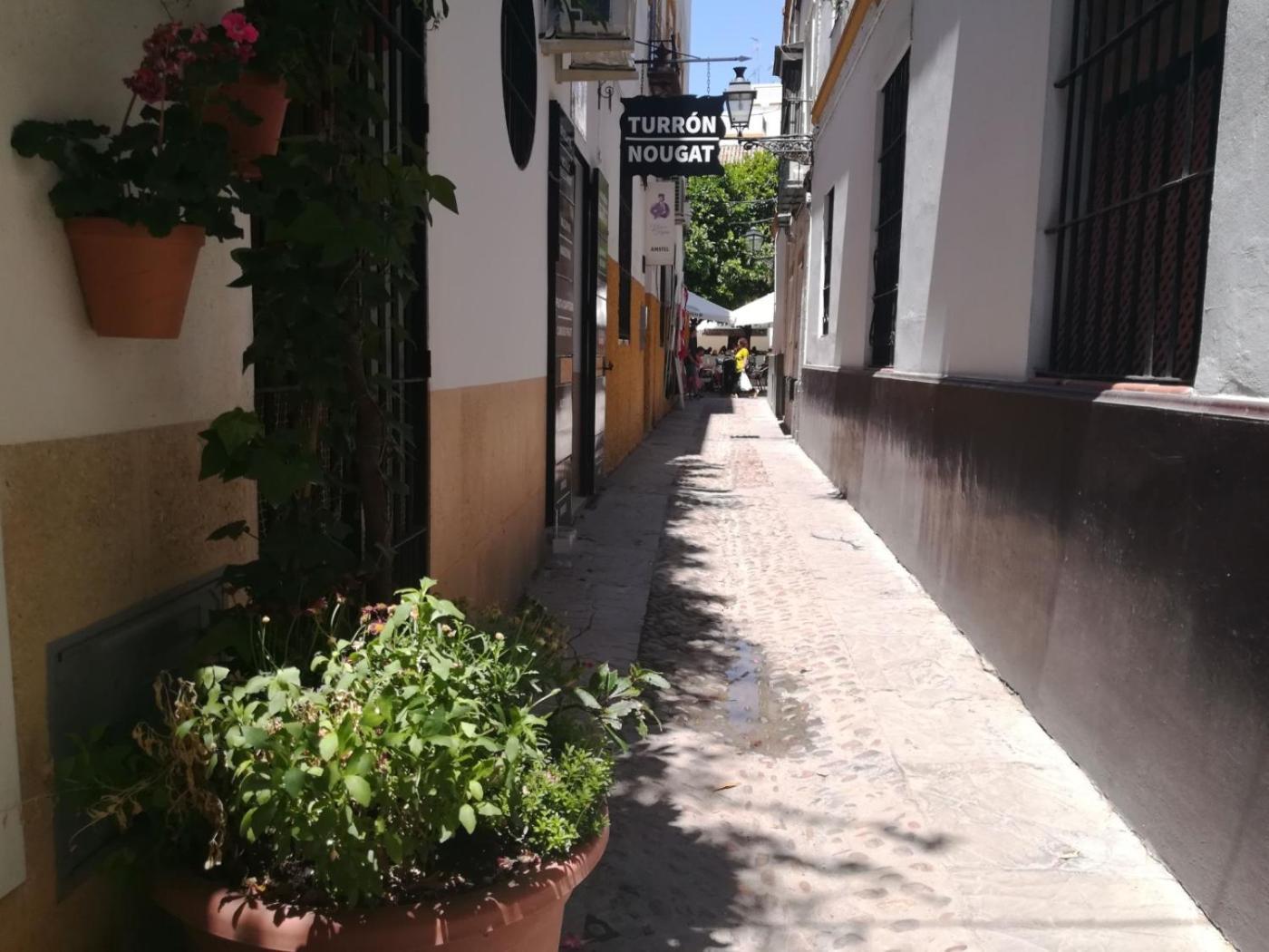 Apartamento Luz Y Tranquilidad Barrio De Sta Cruz *
