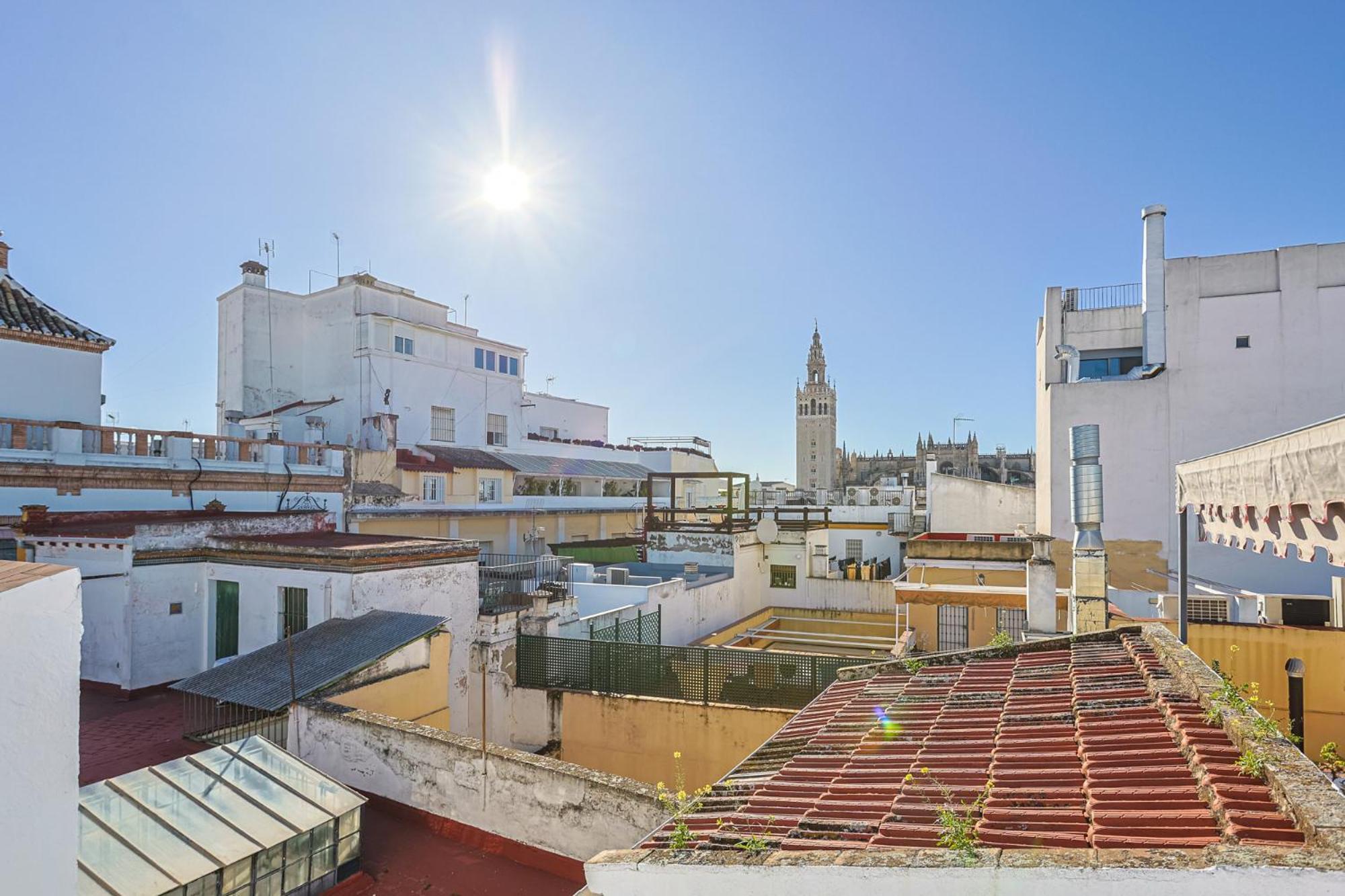 Chicarrero Vacacional Sevilla