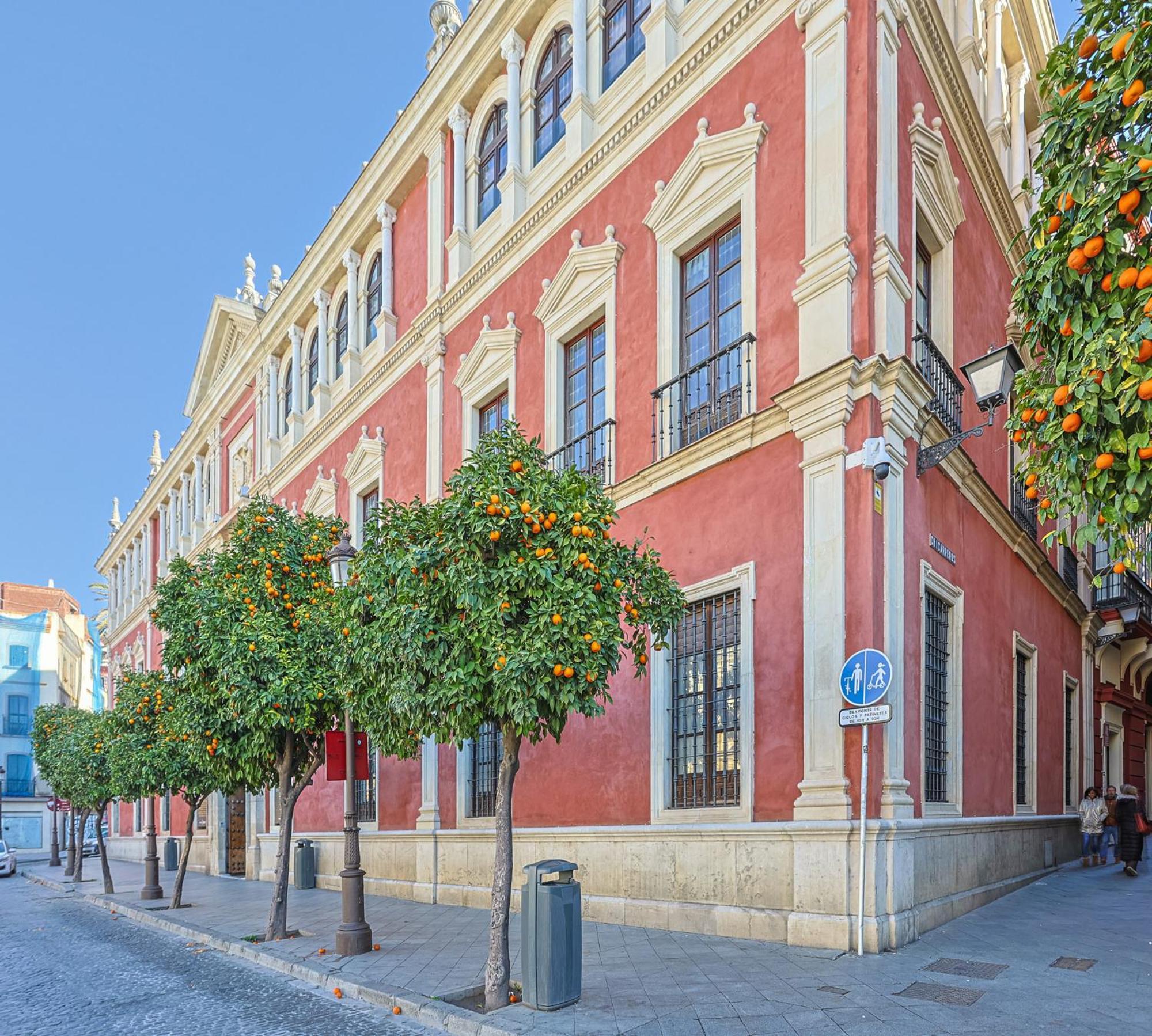 Chicarrero Vacacional Sevilla