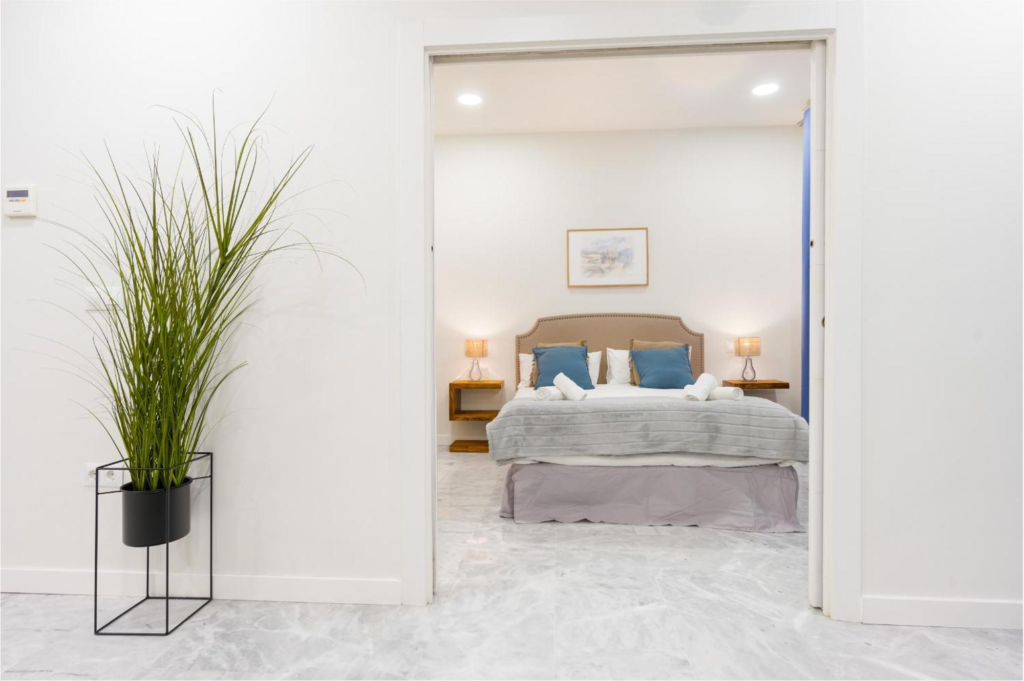 Spacious Functional - 1 Bd 1bth - Center Apartment Seville