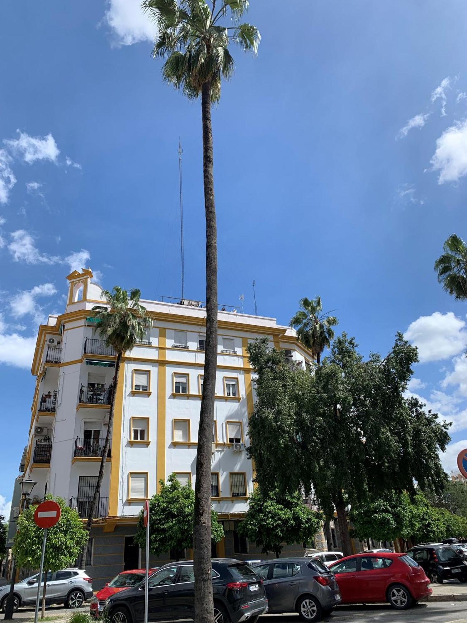 Bonito Y Muy Fresco En Nervion De Dos Y Dos Banos Apartment Seville