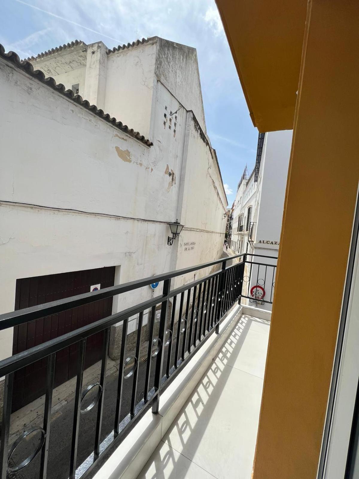 Luxury Downtown Seville