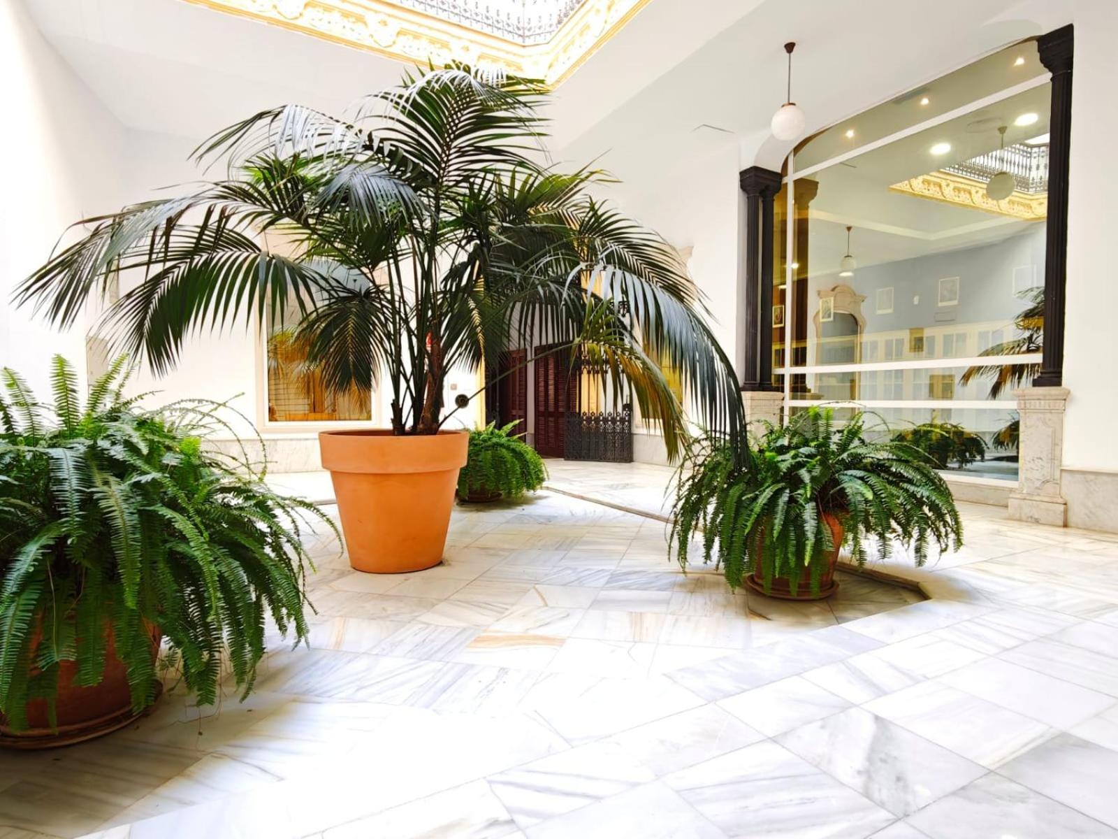 Apartment Cathedral Luxury Seville