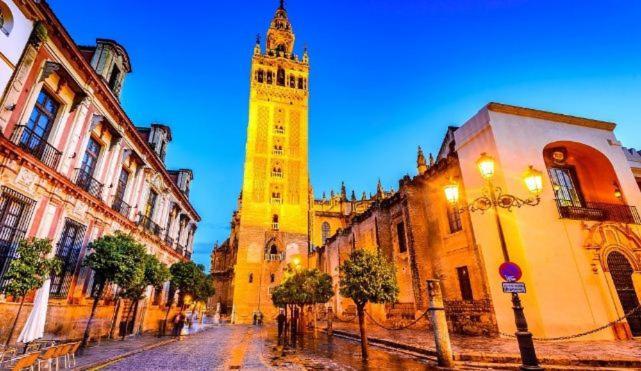 En Santa Cruz Catedral Giralda Nuevo 2025 * Seville