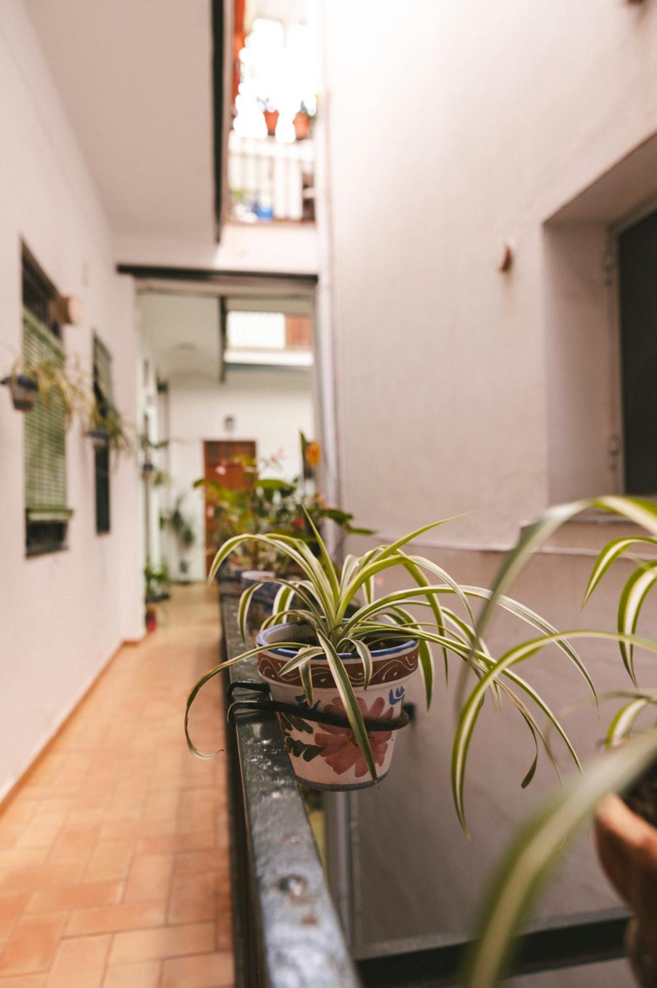 Alohamundi Ardilla Apartment