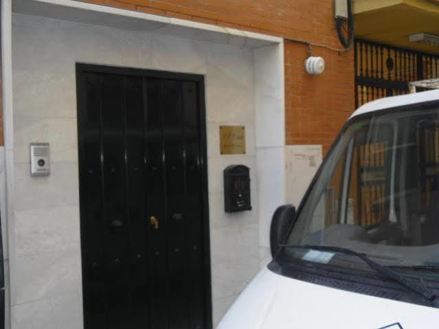 Jentoft Seville