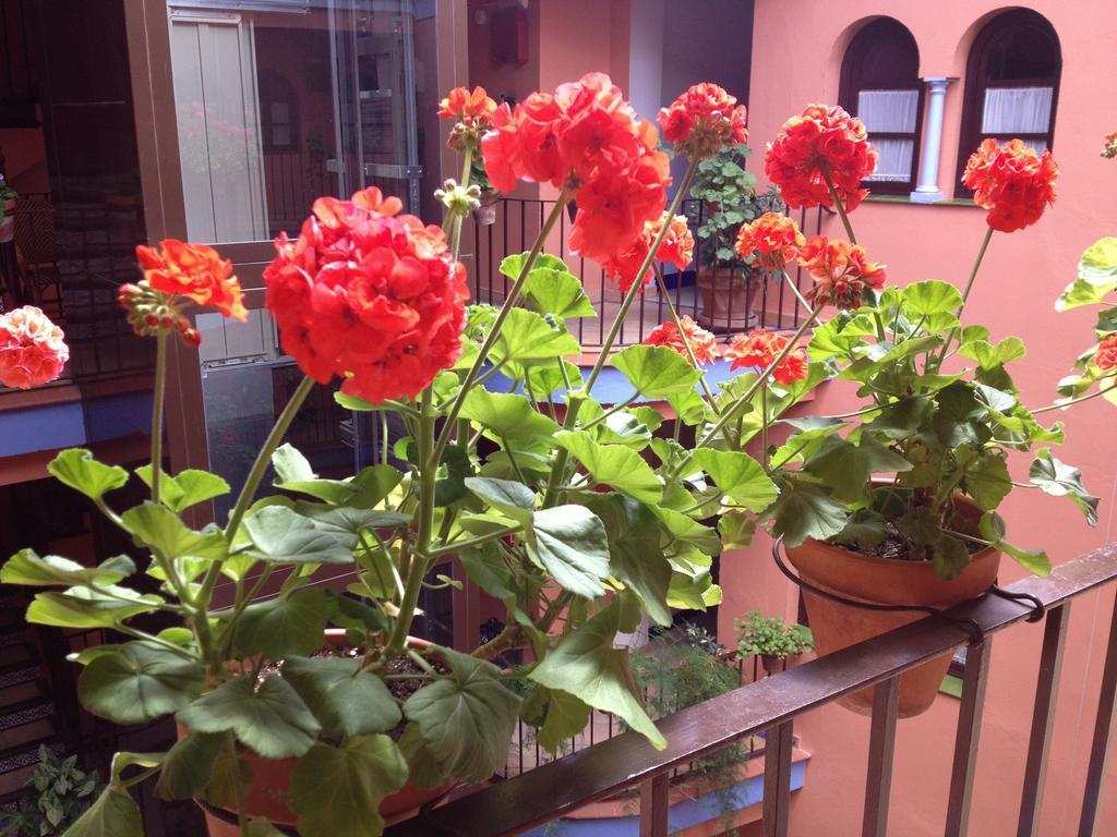 Patio De La Alameda Hotel