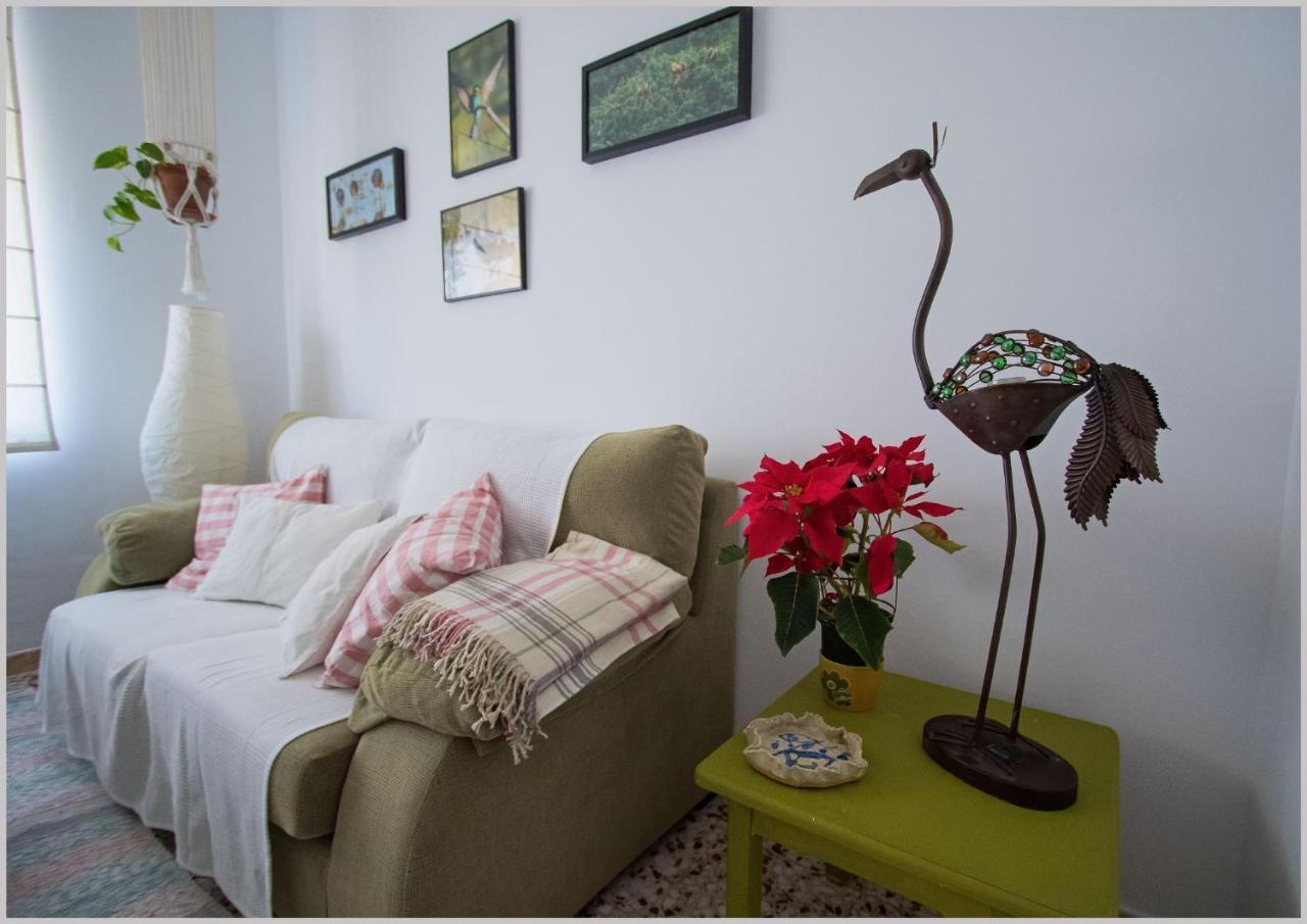Casa De Pajaros Apartment