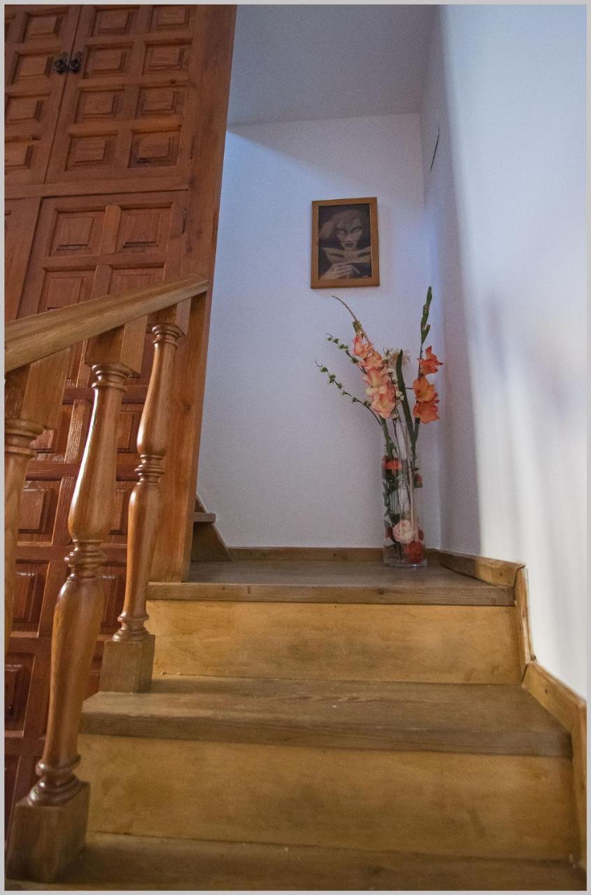 Casa De Pajaros