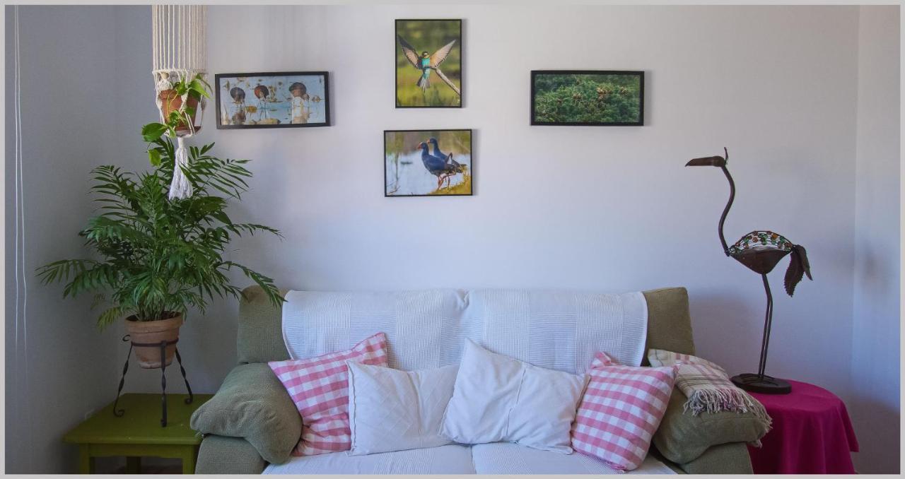 Casa De Pajaros Apartment Seville