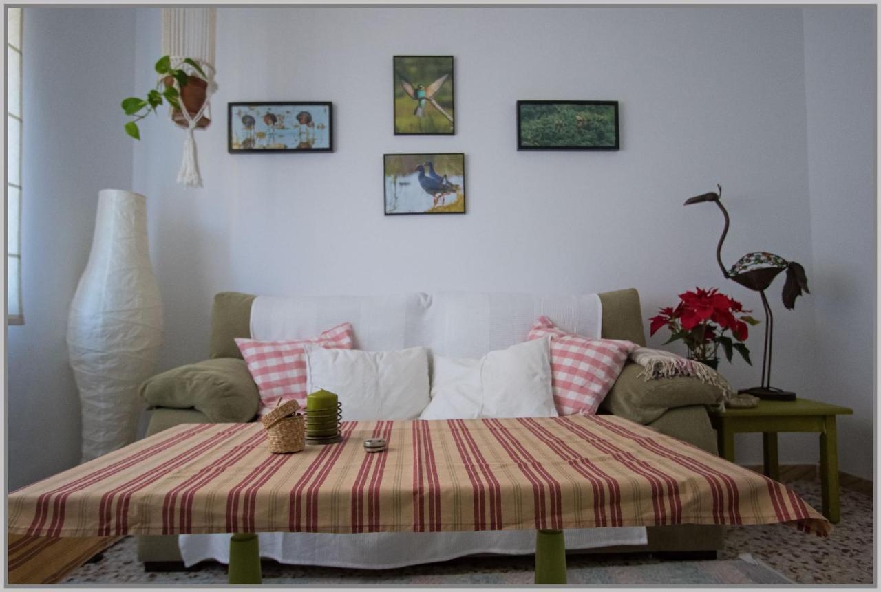 Casa De Pajaros Apartment Seville