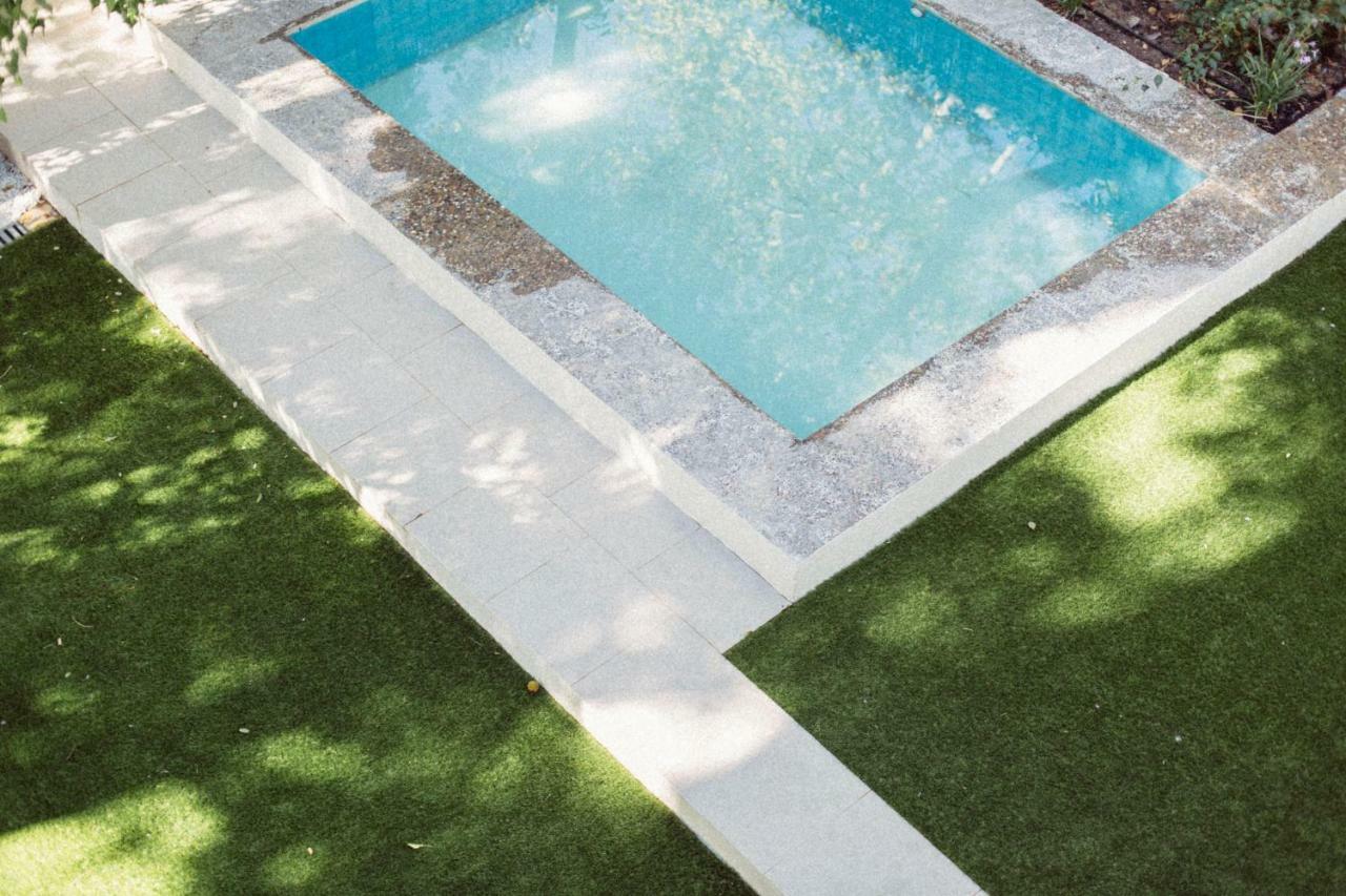 Minty - Palmera Seville
