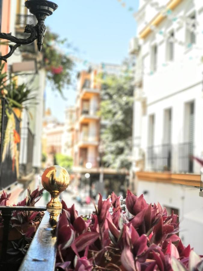 Casa Alfalfa 2 Terraza Y Solarium Privado Seville
